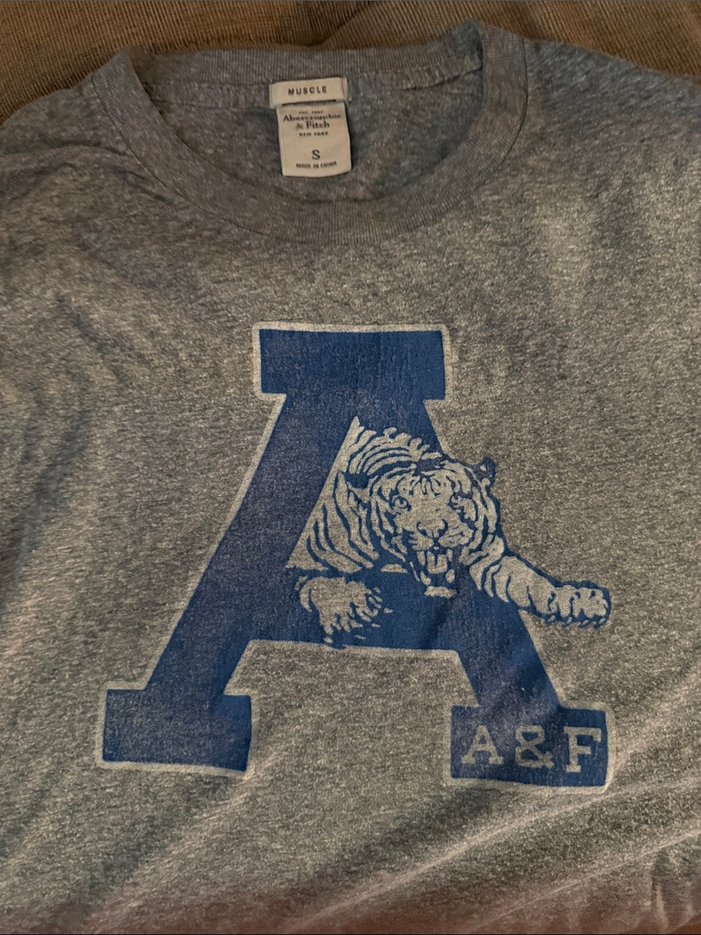 Abercrombie & Fitch Heather Gray Tee with Navy A and Tiger Graphic